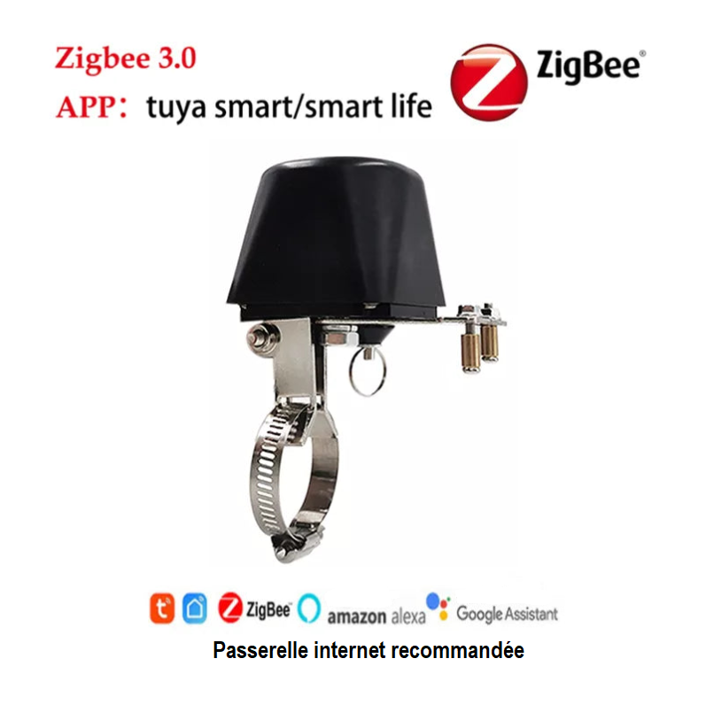 Vanne d'Eau connectée WiFi, Contrôleur de Fermeture de Gaz, Application Smart Life, Compatible Alexa Google Assistant