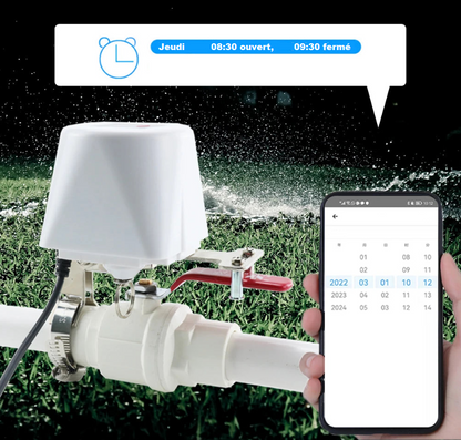 Vanne d'Eau connectée WiFi, Contrôleur de Fermeture de Gaz, Application Smart Life, Compatible Alexa Google Assistant